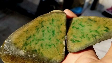 圣菲埃及魚的價格是多少？，圣菲埃及魚價格 圣菲埃及魚的價格是多少？，圣菲埃及魚價格 龍魚百科 第2張