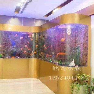 菏澤龍魚vs祥龍魚場(菏澤龍魚與祥龍魚場的區別) 全國水族館企業名錄 第5張 菏澤龍魚vs祥龍魚場(菏澤龍魚與祥龍魚場的區別) 菏澤龍魚vs祥龍魚場(菏澤龍魚與祥龍魚場的區別) 全國水族館企業名錄 第5張