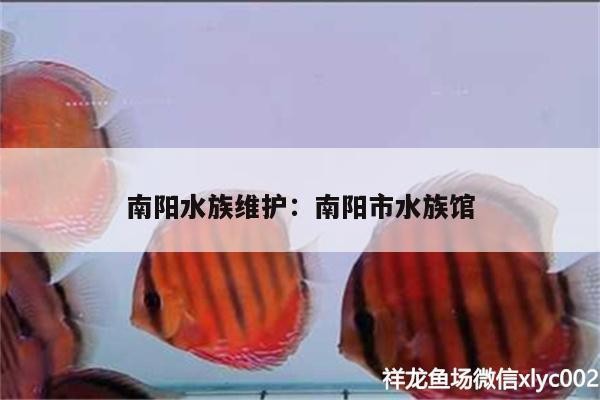 南陽水族維護:南陽市水族館