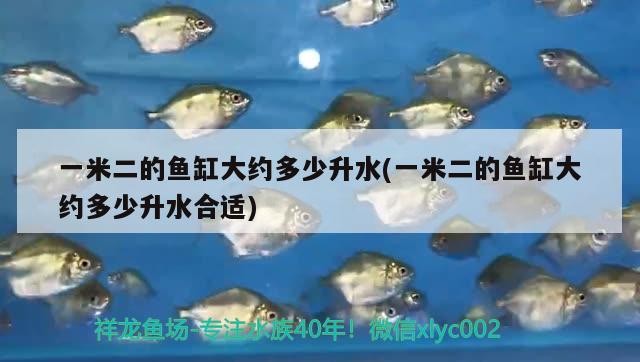 一米二的魚缸大約多少升水(一米二的魚缸大約多少升水合適)