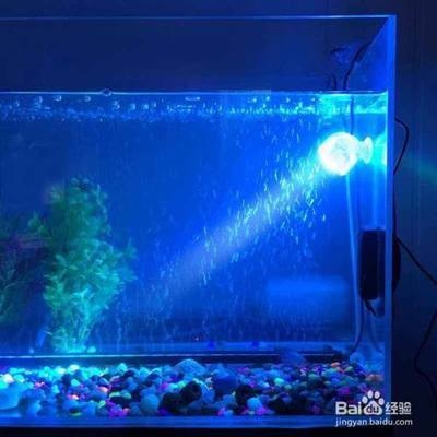 贛州市章貢區(qū)樊記水族館（贛州市章貢區(qū)樊記水族館電話）