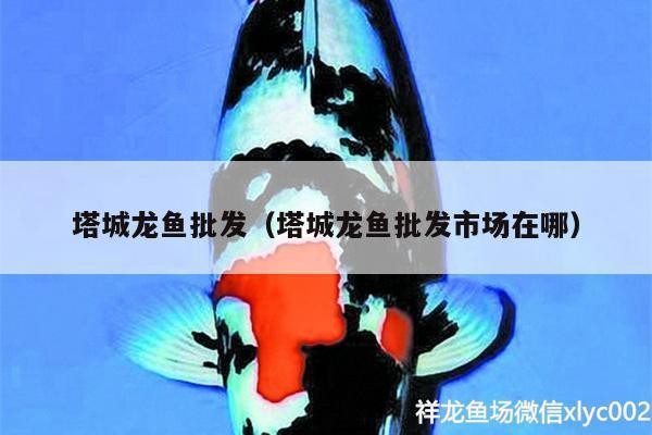 嘉峪關紅龍魚價格2688貴嗎？