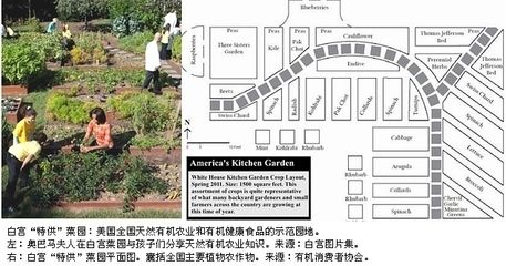 龍魚需要養水幾天嗎為什么vs祥龍魚場：龍魚養水的最佳時間