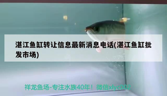 湛江魚缸轉讓信息最新消息電話(湛江魚缸批發市場)