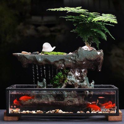 瓷盆魚缸造景室內可以放嗎：如何制作瓷盆魚缸造景