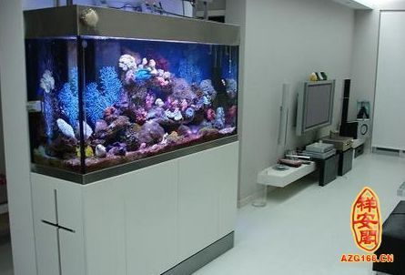 東勝區博龍水族館（東勝區博龍水族館電話）