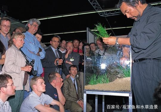 牡丹江市西安區江華水族館（牡丹江市西安區江華水族館電話）