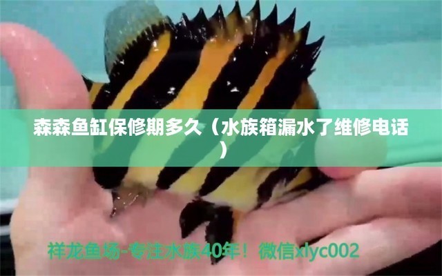 沈陽定制魚缸電話號碼（沈陽定制魚缸電話號碼多少）