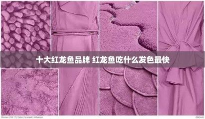 泗水紅龍魚在哪可以買到啊：如何辨別泗水紅龍魚 泗水紅龍魚在哪可以買到啊：如何辨別泗水紅龍魚 紅龍魚百科