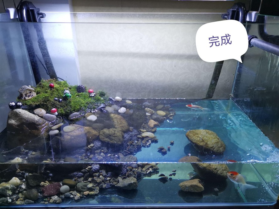 超白魚缸推薦 知乎：十大熱門超白魚缸排行榜