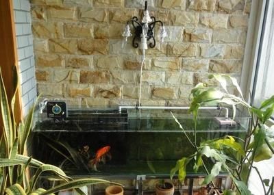 大理石做魚缸漏不漏水：大理石魚缸在理論上是有可能漏水的，以下幾種可能導致魚缸漏水