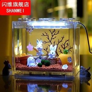 斗魚缸如何造景好看：南美缸與斗魚缸的區別