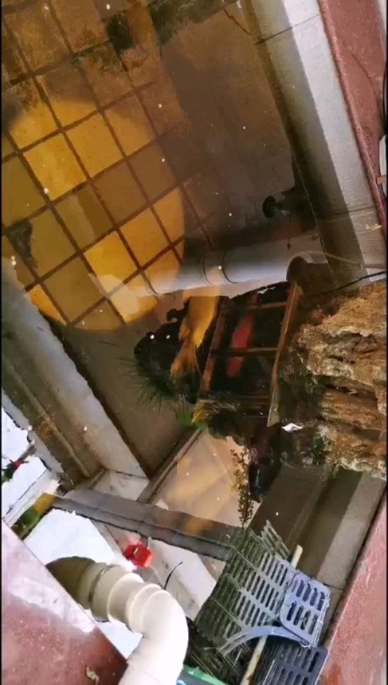 上手？我就差動手了