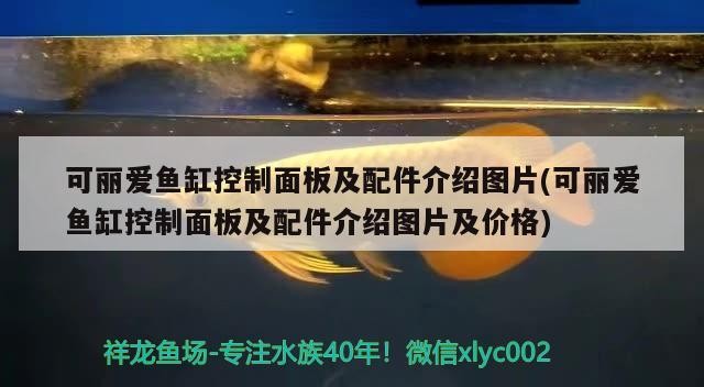 上手？我就差動手了