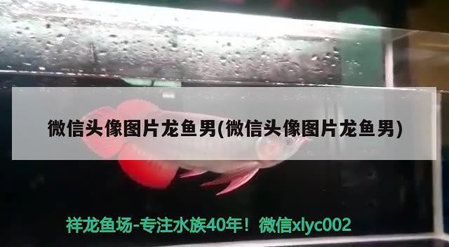 上手？我就差動手了
