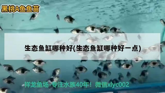 北京燕紅潘水族店（北京燕紅潘水族店地址）