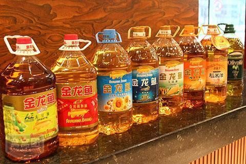 金龍魚哪個品牌好
