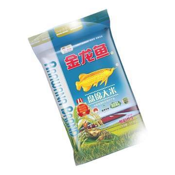 金龍魚哪個品牌好