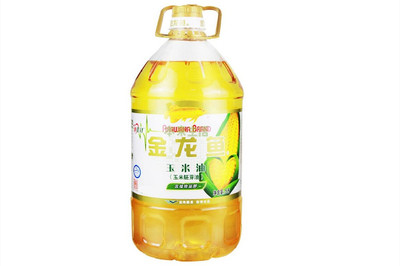 金龍魚哪個品牌好