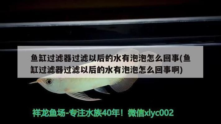 小紅龍魚怎么挑選最好的魚缸：如何挑選合適的小紅龍魚魚缸，小紅龍魚魚缸背景布置技巧