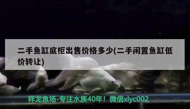 二手魚缸底柜出售價格多少(二手閑置魚缸低價轉讓)