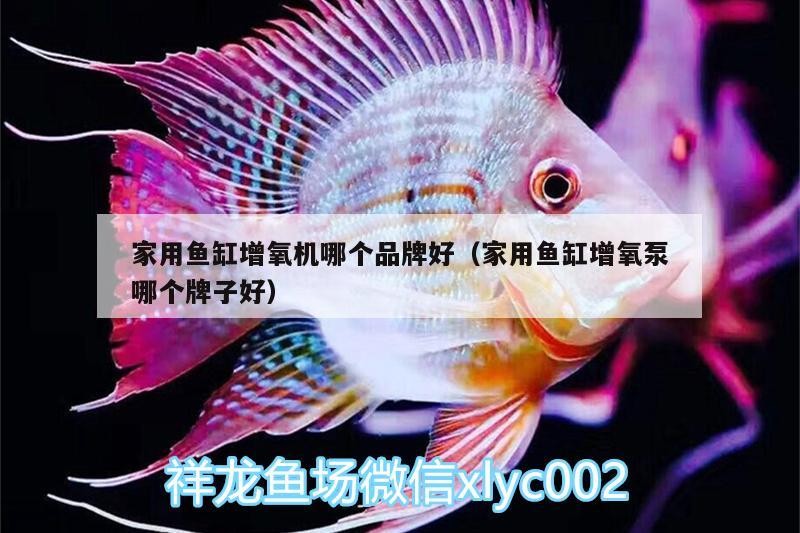 家用魚缸增氧機哪個品牌好（家用魚缸增氧泵哪個牌子好）
