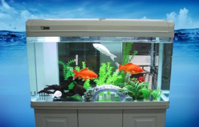 sunsun魚缸價格怎么調水溫：sunsun魚缸價格調整及水溫控制方法