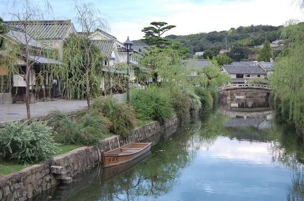 紅龍魚養殖技術培訓：龍魚養殖技術
