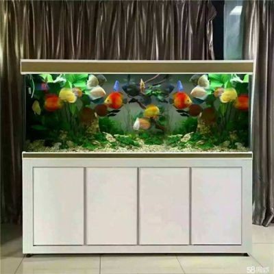 玻璃鋼能做大型魚缸嗎：玻璃鋼是否適合制作大型魚缸