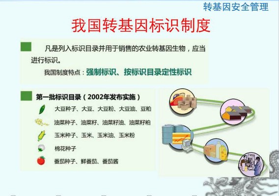 斯文博特曼以前在哪踢球過（斯文·博特曼）