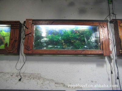 壁掛魚缸養什么魚好：壁掛魚缸適合養什么魚？