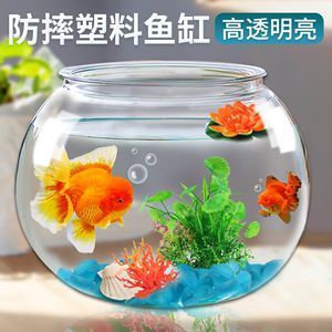 邯鄲二手魚缸低價電話多少（邯鄲二手魚缸低價電話多少啊）