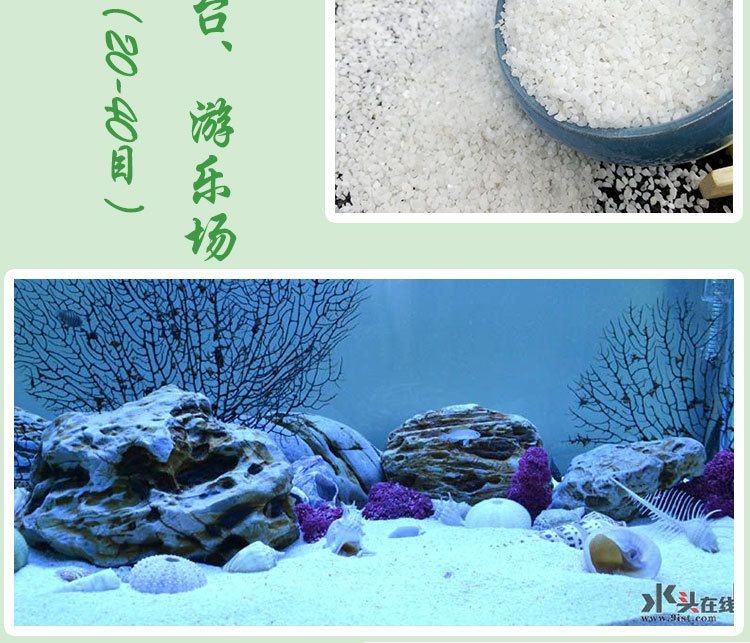 白底砂魚缸造景：魚缸造景底砂的種類和特點