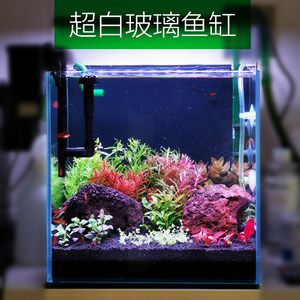 斗魚缸造景30缸：斗魚缸造景30厘米的魚缸造景30缸的布置方法和步驟