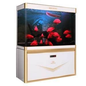 閩江和森森水族箱哪個(gè)好