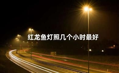 紅龍魚(yú)怕燈怎么回事：紅龍魚(yú)害怕燈光怎么辦