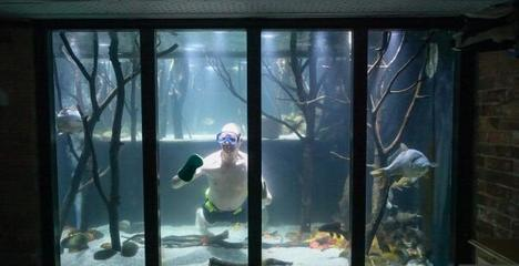 哈爾濱市香坊區(qū)萬慧水族館（哈爾濱市香坊區(qū)萬慧水族館電話）