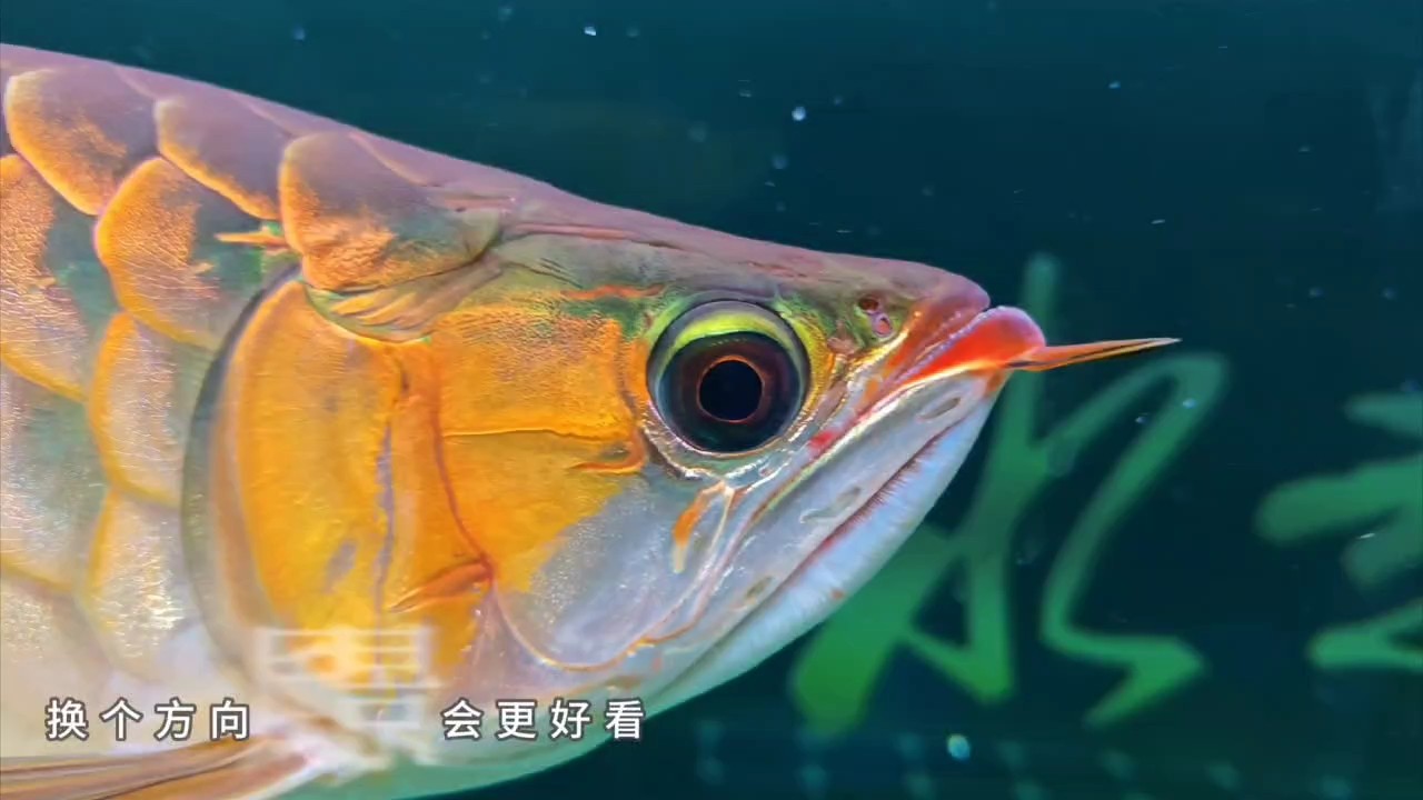 好久沒拍了，欣賞一下