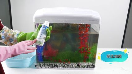 長泰縣林超水族館（長泰縣林超水族館地址）