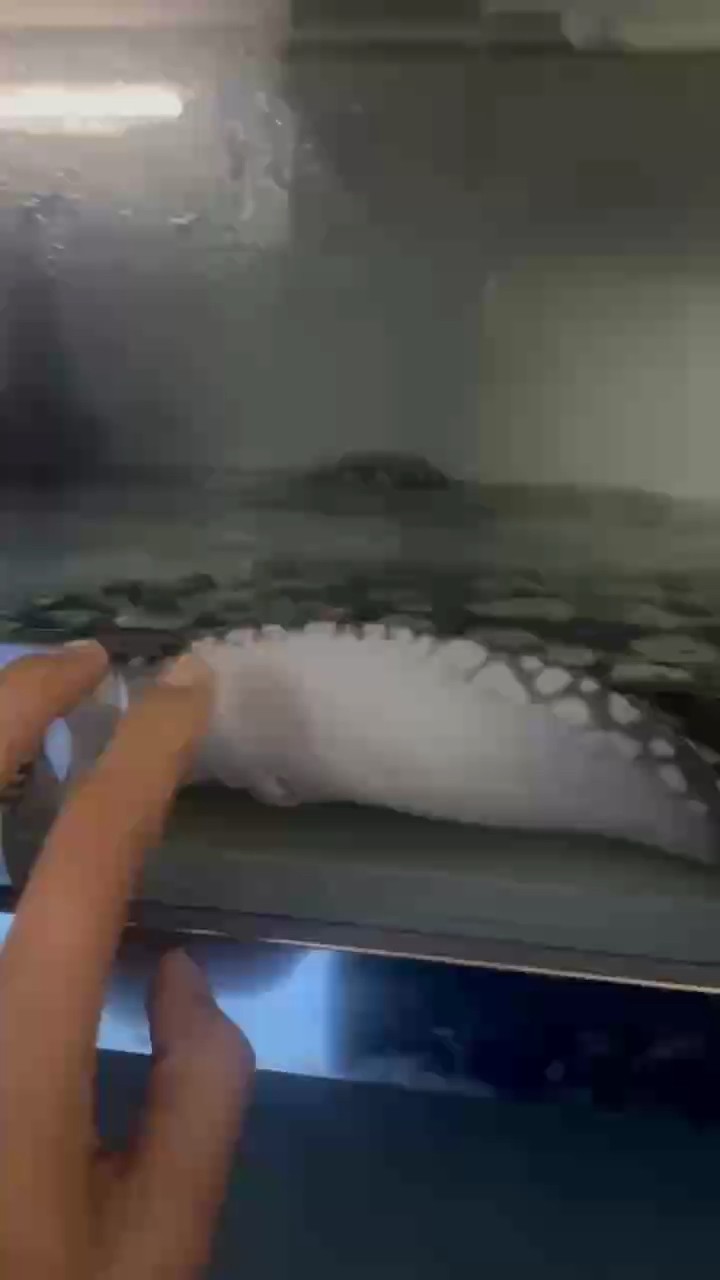 魚缸用增氧泵價(jià)格是多少:魚缸增氧機(jī)-xtrac增氧機(jī)-xtrac增氧機(jī) 強(qiáng)身健體 龍魚論壇 強(qiáng)身健體 強(qiáng)身健體 龍魚論壇
