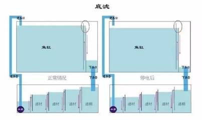 博特魚缸廠家在哪里啊（博特魚缸廠家在哪里啊電話）