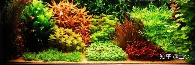 魚缸款式大全