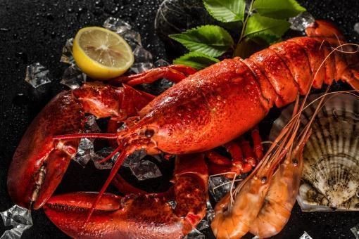 秦皇島紅龍魚價格2688貴嗎？