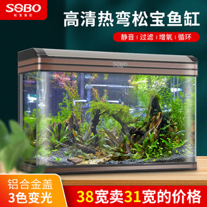 魚缸見陽光好不好呀圖片欣賞（魚缸見陽光好不好呀圖片欣賞大全）