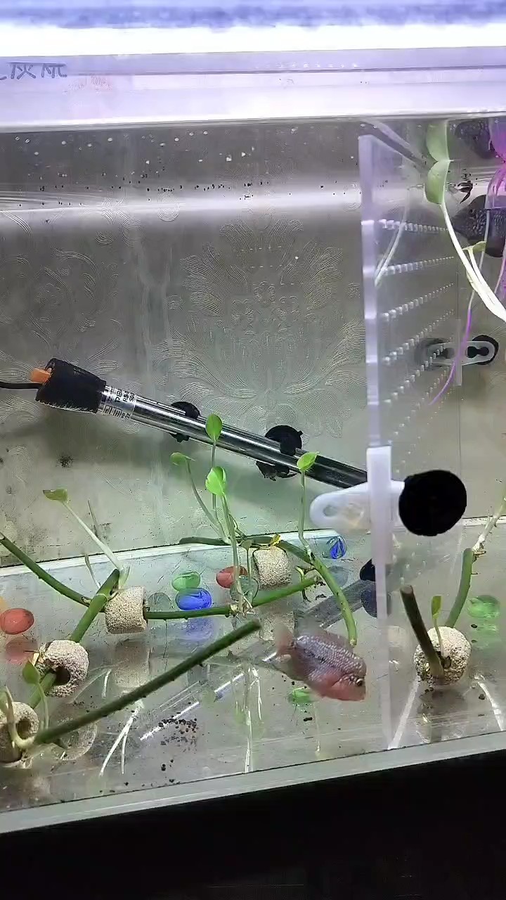 終于在一起了