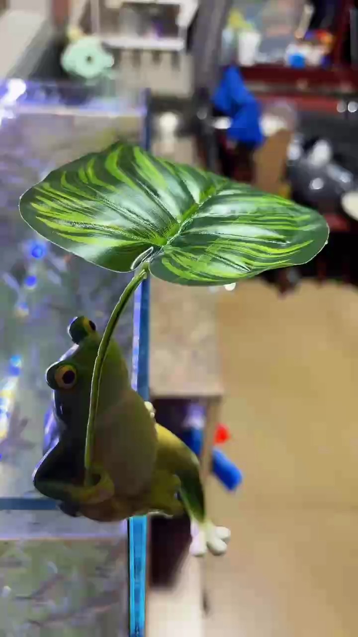 高密度飼養