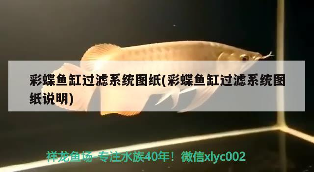西寧市城東區超超水族館（西寧市城東區超超水族館電話）