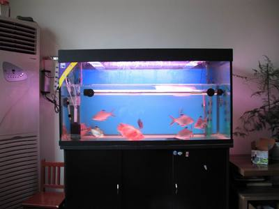哈密市博豐建材市場毅然水族館（哈密博豐家居建材廣場）
