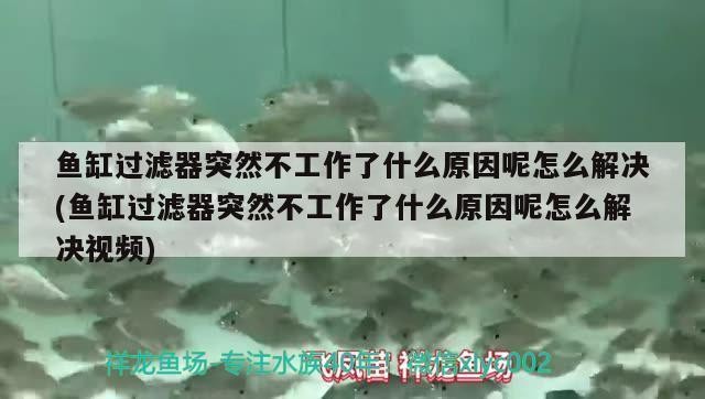 建昌縣郎圣水族大世界（建昌郎氏中醫康復醫院）