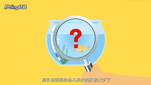 北京定做魚缸的廠家電話號碼查詢（北京定做魚缸的廠家電話號碼查詢是多少）